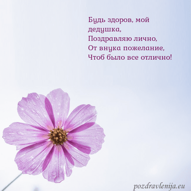 Электронная открытка с фиолетовым цветком