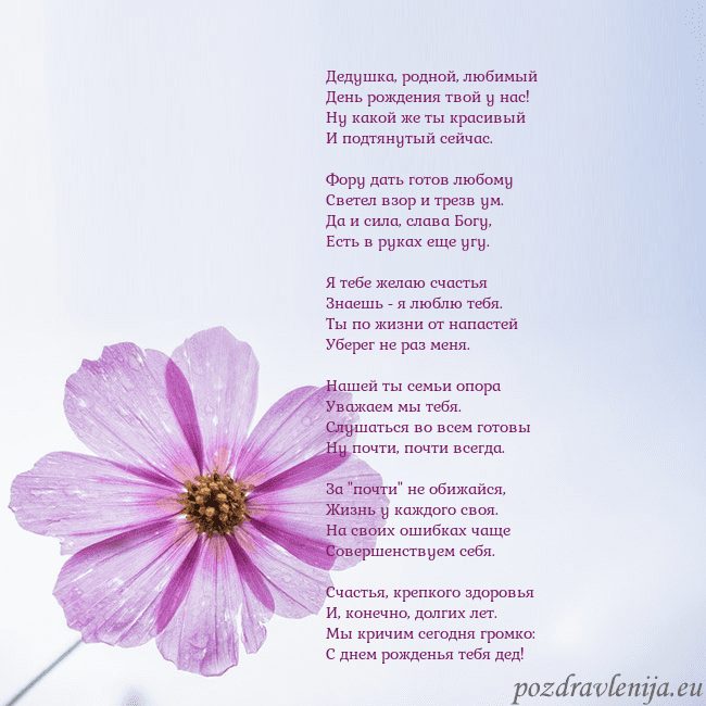 Электронная открытка с фиолетовым цветком Дедушка, родной, любимый
День рождения твой у нас! Электронная открытка с фиолетовым цветком