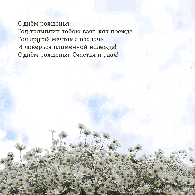 Открытка с ромашками