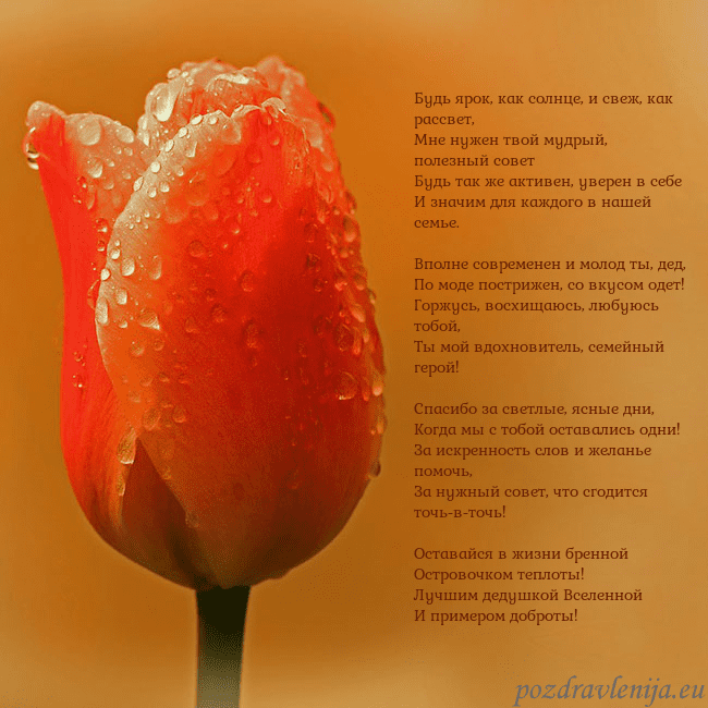 Открытка с красным тюльпаном Будь ярок, как солнце, и свеж, как рассвет,
Мне ну Открытка с красным тюльпаном