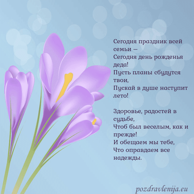 Открытка с крокусом