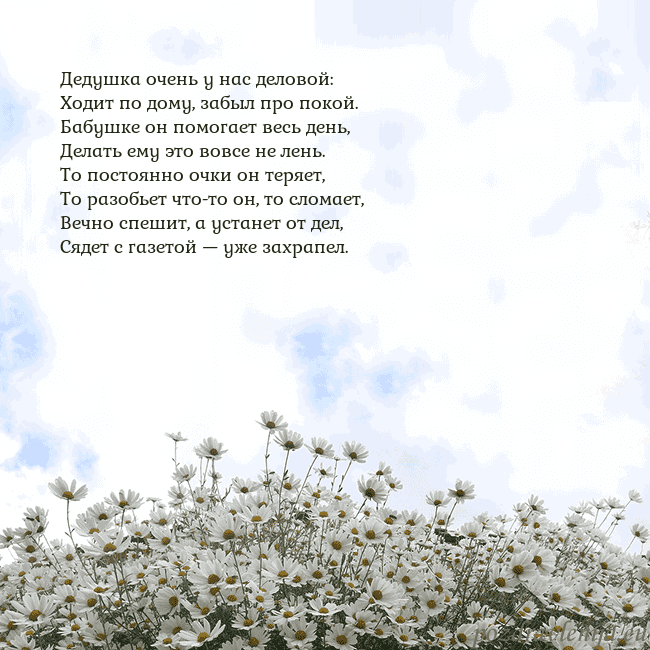 Открытка с ромашками