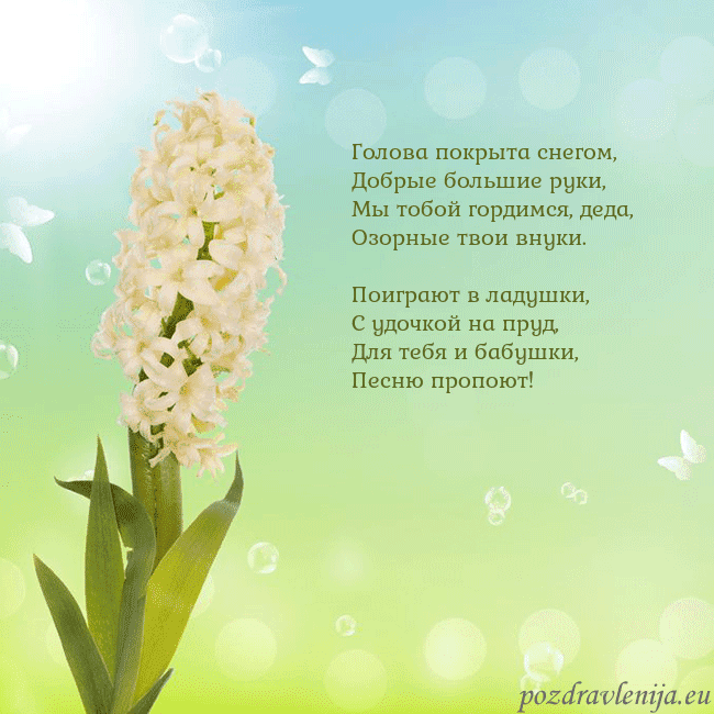 Открытка с гиацинтом