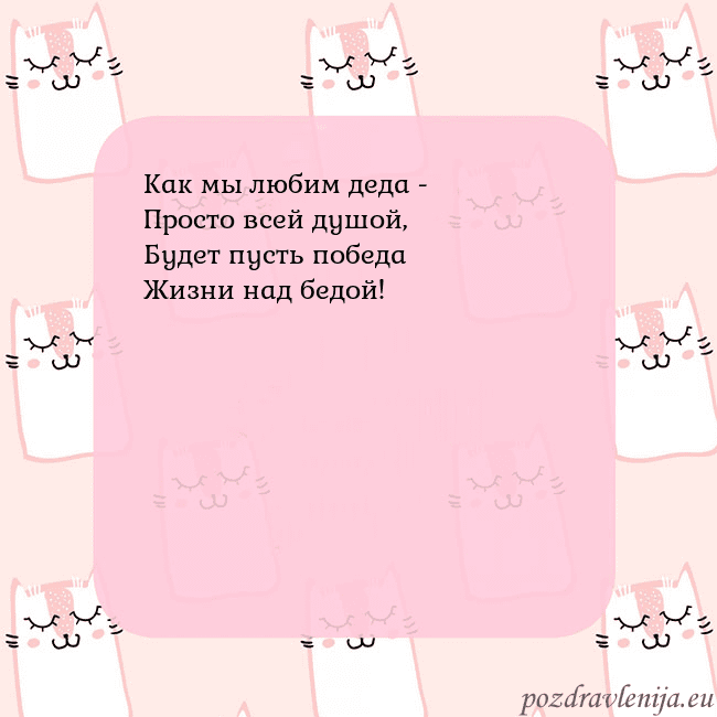 Розовая открытка с забавными кошками