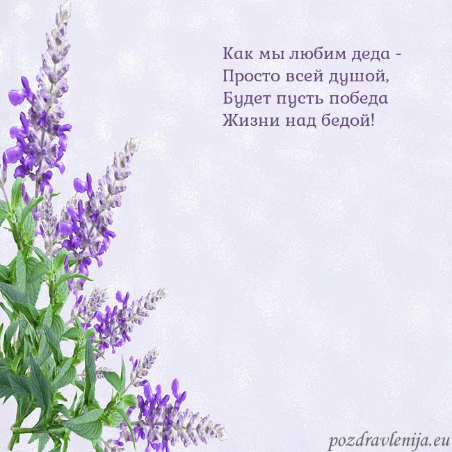 Открытка с люпинами