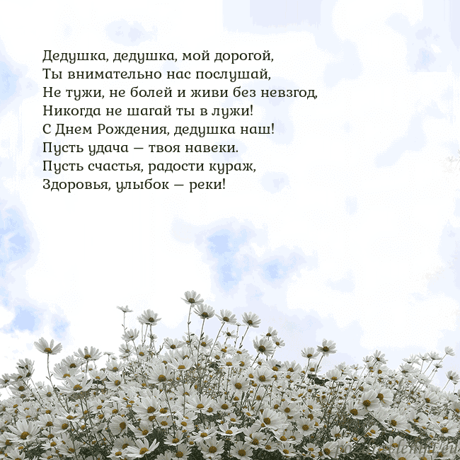 Открытка с ромашками