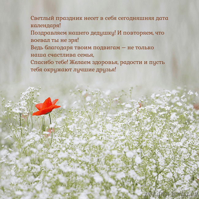 Электронная открытка с белыми цветами