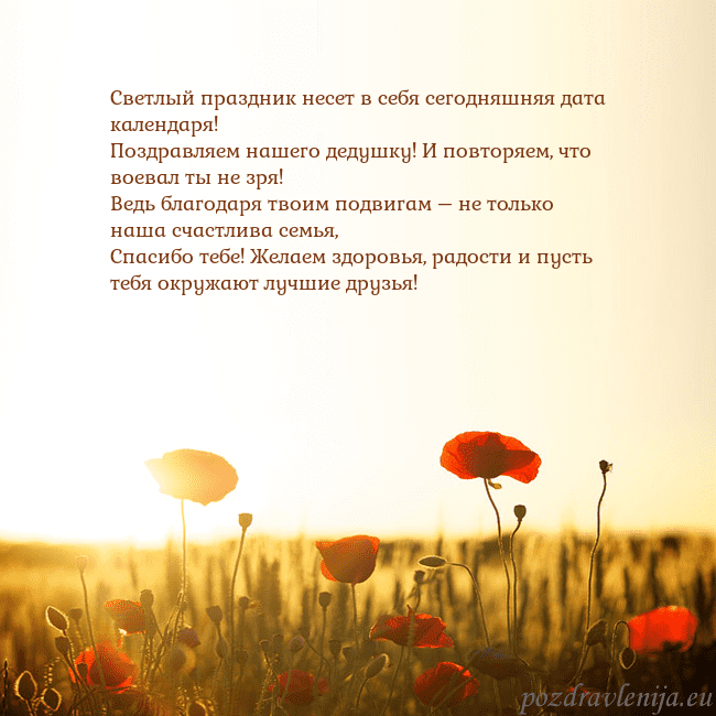 Электронная открытка с полем маков