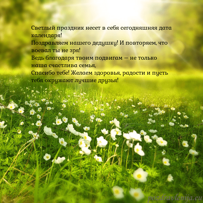 Электронная открытка с утопающим в солнечном свете лугом