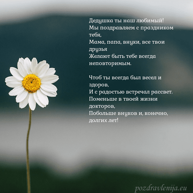 Электронная открытка с ромашкой