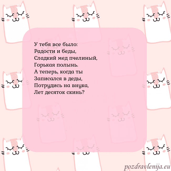 Розовая открытка с забавными кошками