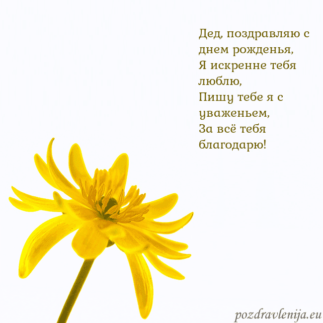 Открытка с желтым цветком