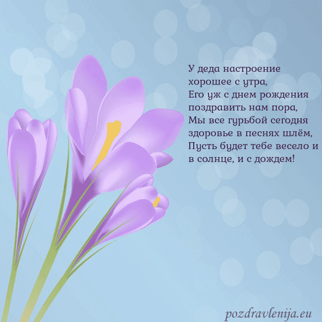 Открытка с крокусом