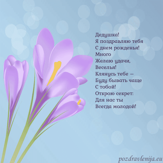 Открытка с крокусом