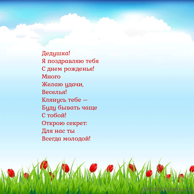 Открытка с тюльпанами