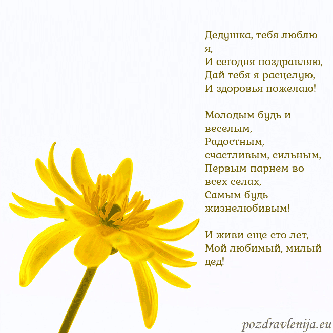 Открытка с желтым цветком