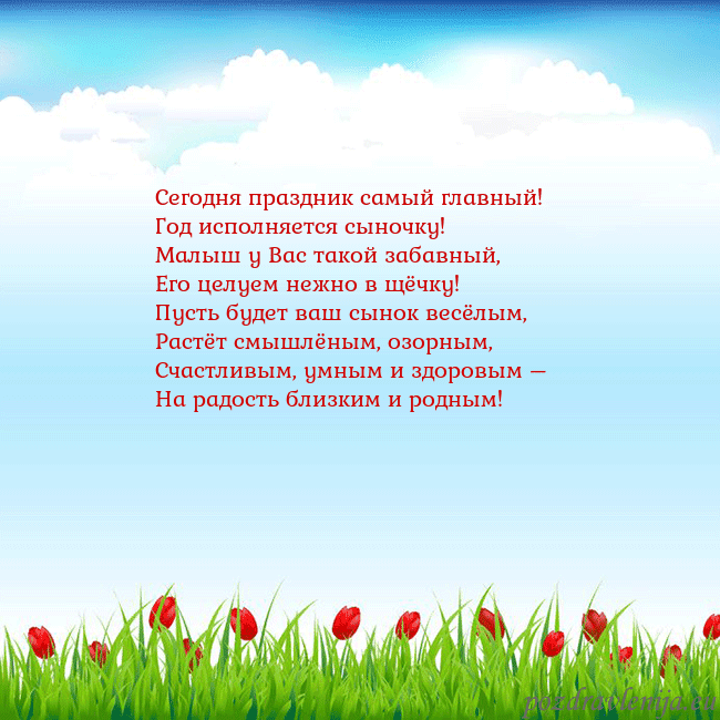 Открытка с тюльпанами