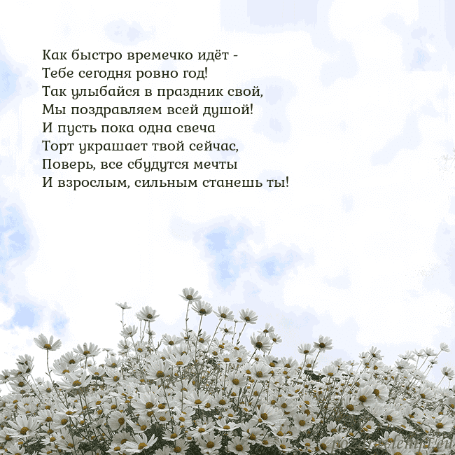 Открытка с ромашками