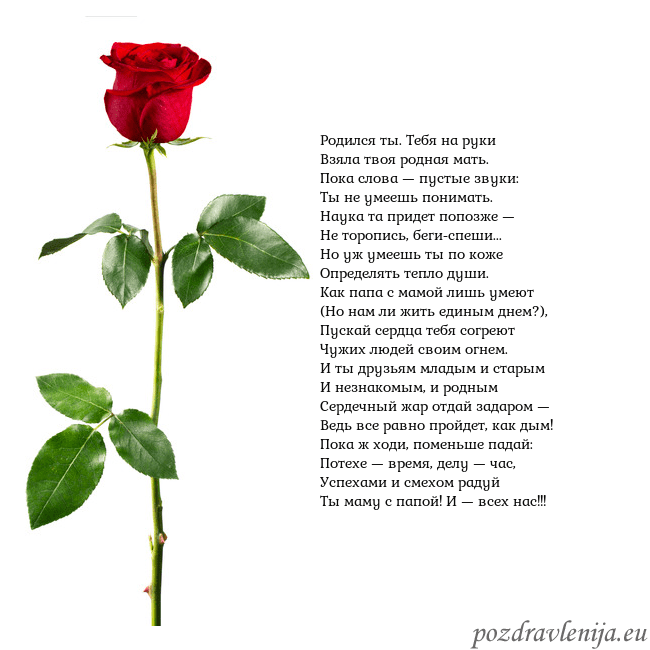 Открытка с красной розой Родился ты. Тебя на руки
Взяла твоя родная мать.
П Открытка с красной розой