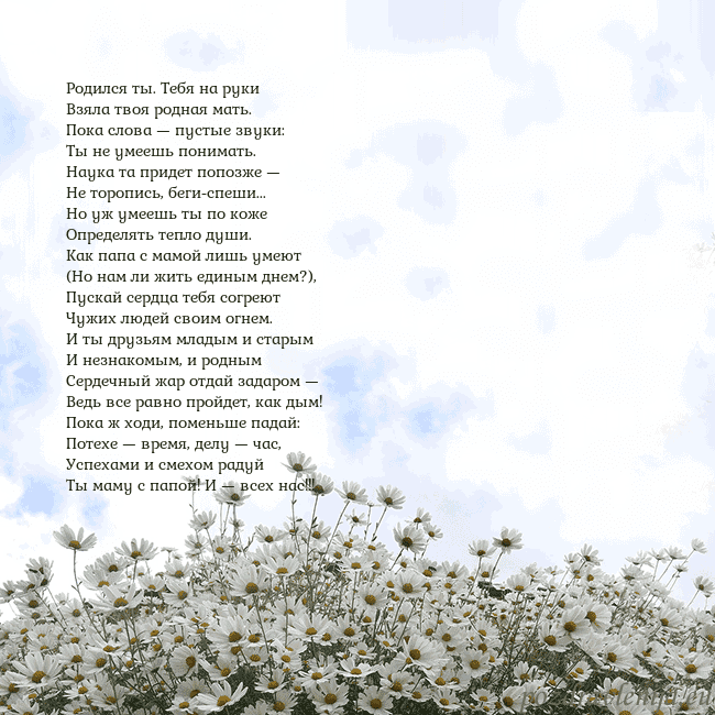 Открытка с ромашками Родился ты. Тебя на руки
Взяла твоя родная мать.
П Открытка с ромашками