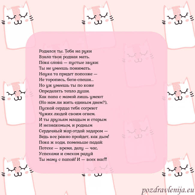 Розовая открытка с забавными кошками