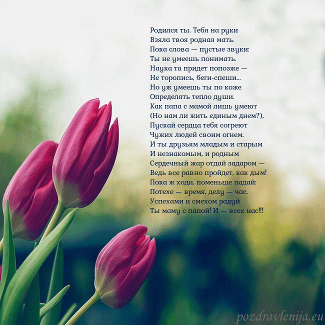 Открытка с тремя красными тюльпанами Родился ты. Тебя на руки
Взяла твоя родная мать.
П Открытка с тремя красными тюльпанами