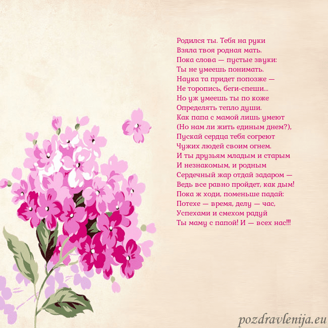 Открытка с гортензией Родился ты. Тебя на руки
Взяла твоя родная мать.
П Открытка с гортензией