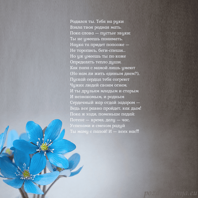 Открытка с фиалками Родился ты. Тебя на руки
Взяла твоя родная мать.
П Открытка с фиалками