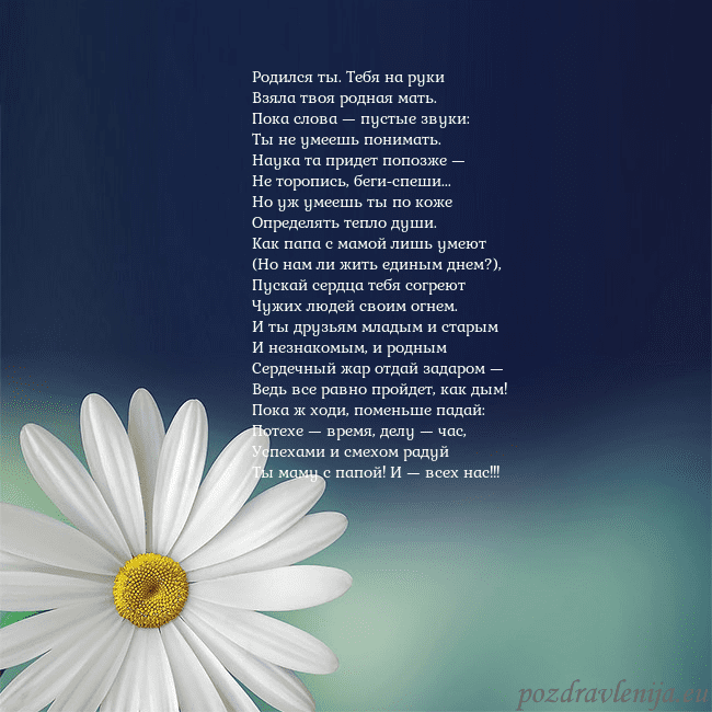 Открытка с большой ромашкой Родился ты. Тебя на руки
Взяла твоя родная мать.
П Открытка с большой ромашкой
