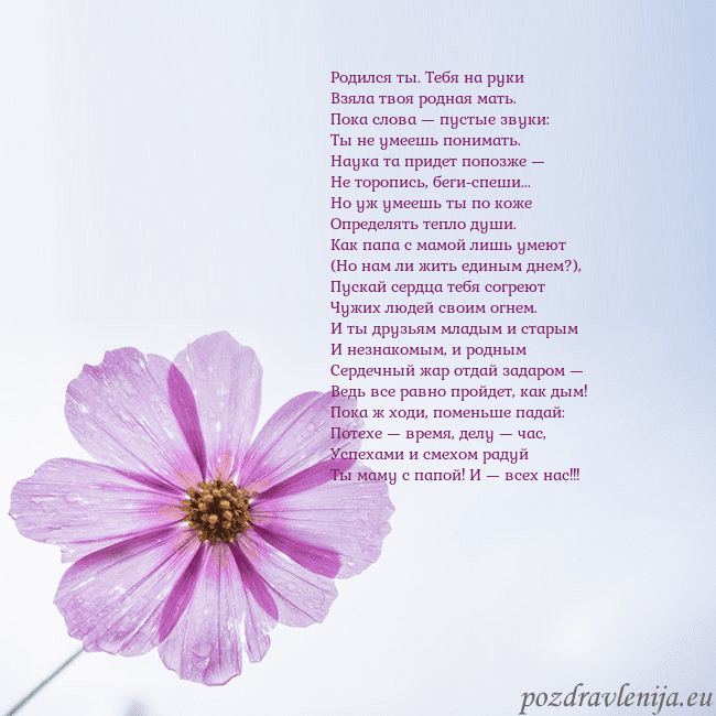 Электронная открытка с фиолетовым цветком Родился ты. Тебя на руки
Взяла твоя родная мать.
П Электронная открытка с фиолетовым цветком