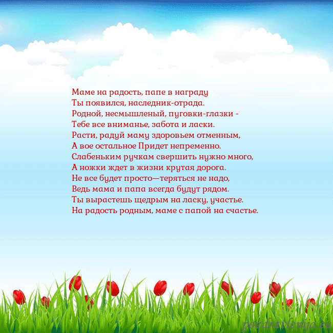 Открытка с тюльпанами