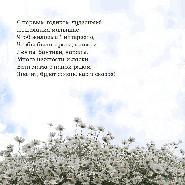 Открытка с ромашками