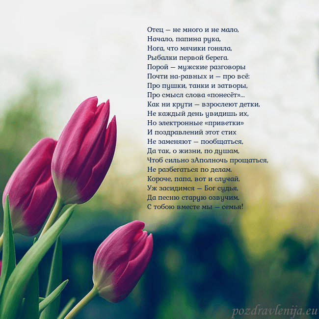 Открытка с тремя красными тюльпанами Отец – не много и не мало,
Начало, папина рука,
Но Открытка с тремя красными тюльпанами