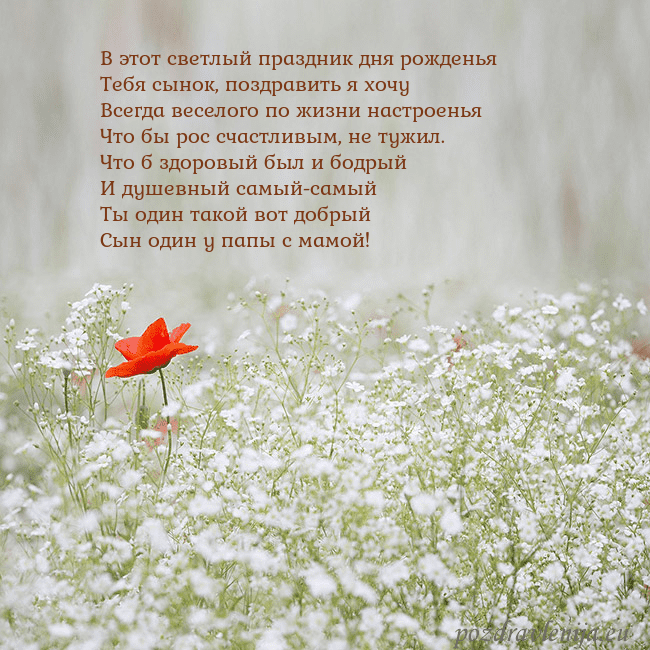 Электронная открытка с белыми цветами