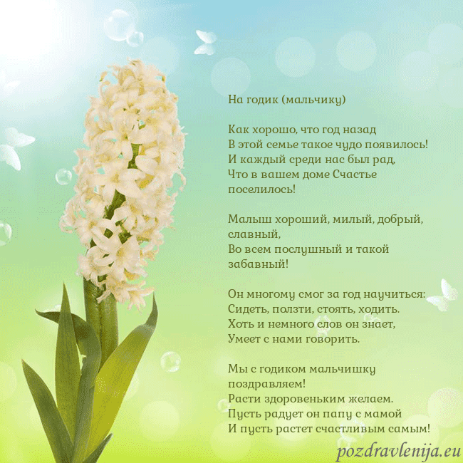 Открытка с гиацинтом