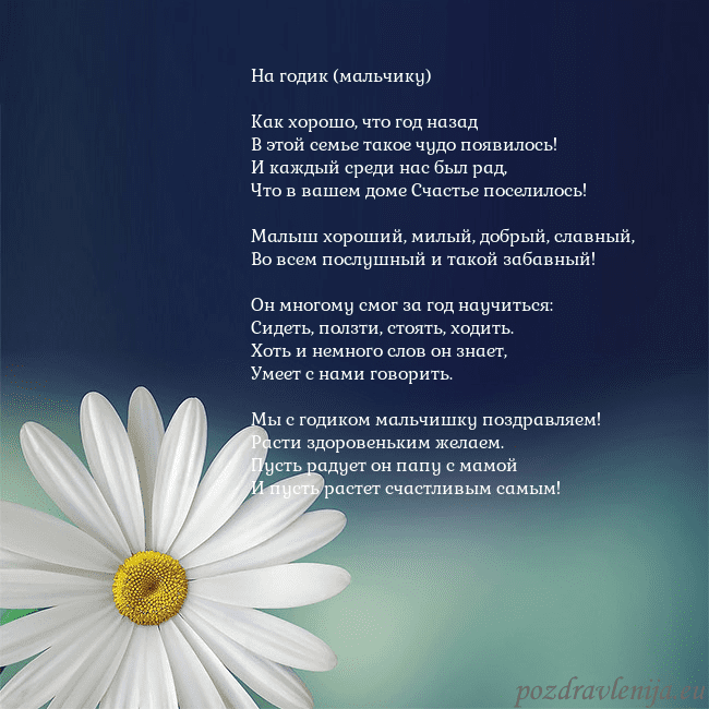 Открытка с большой ромашкой