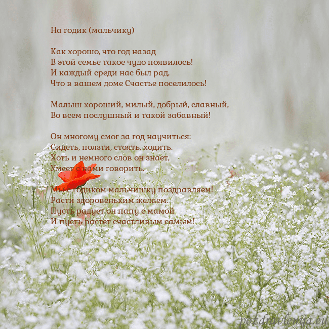 Электронная открытка с белыми цветами