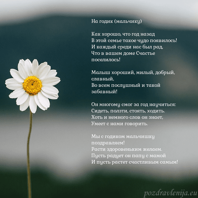 Электронная открытка с ромашкой