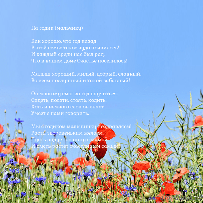 Открытка с маками