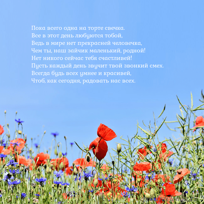 Открытка с маками