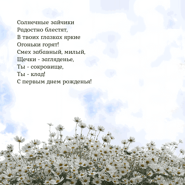 Открытка с ромашками