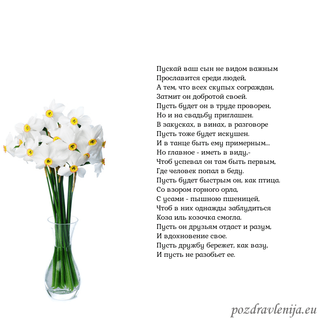 Открытка с нарциссами Пускай ваш сын не видом важным
Прославится среди л Открытка с нарциссами