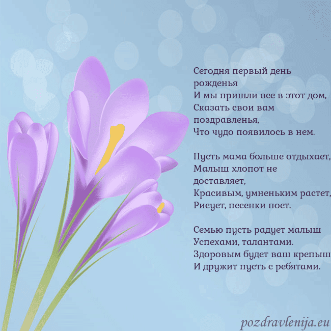 Открытка с крокусом