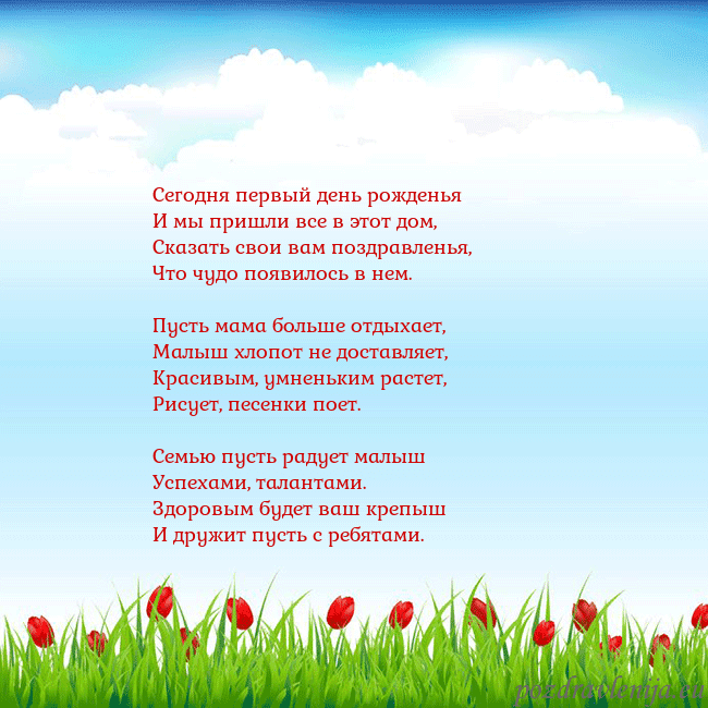 Открытка с тюльпанами