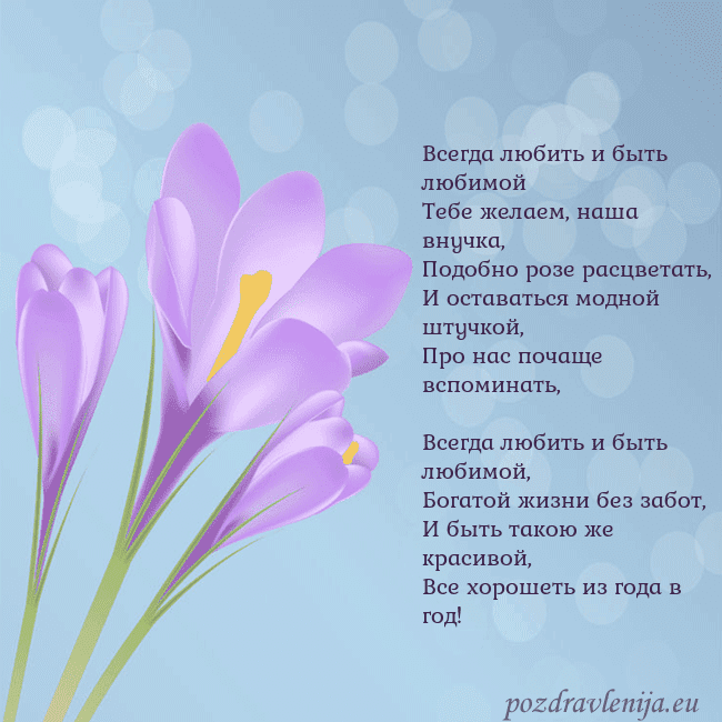 Открытка с крокусом