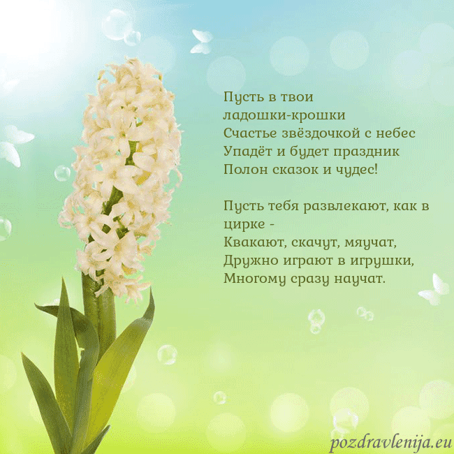 Открытка с гиацинтом