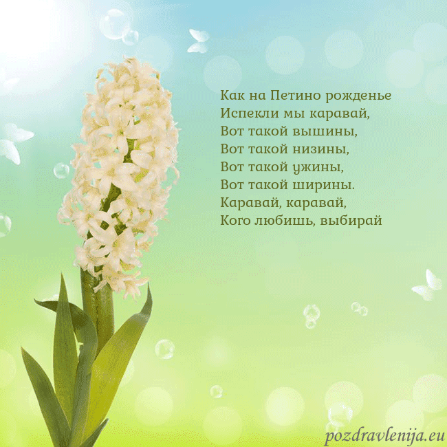 Открытка с гиацинтом