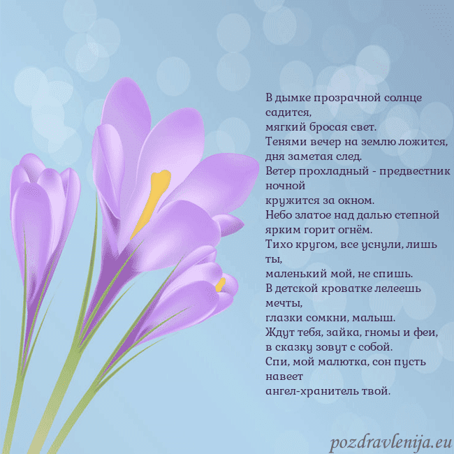 Открытка с крокусом
