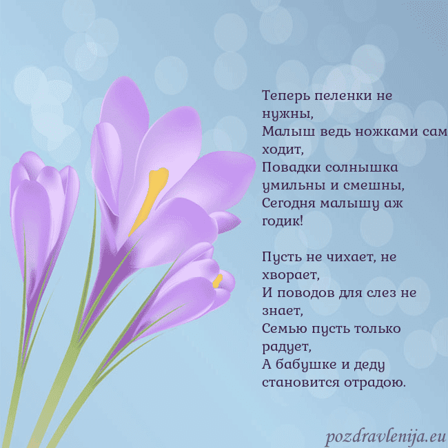 Открытка с крокусом