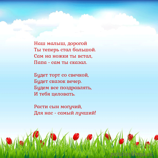 Открытка с тюльпанами